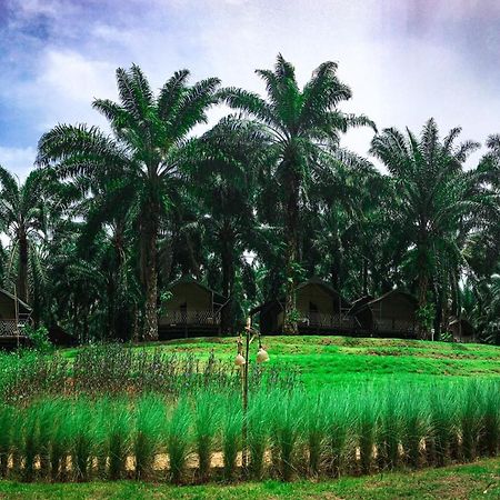 Hotel Khaosok Boutique Hideaway Phanom Exterior foto